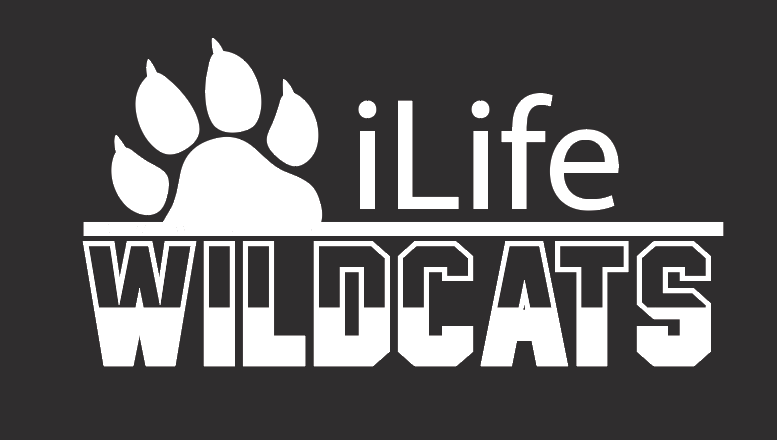 ILife "ILife Wildcats" Design Anorak Pullover (black)