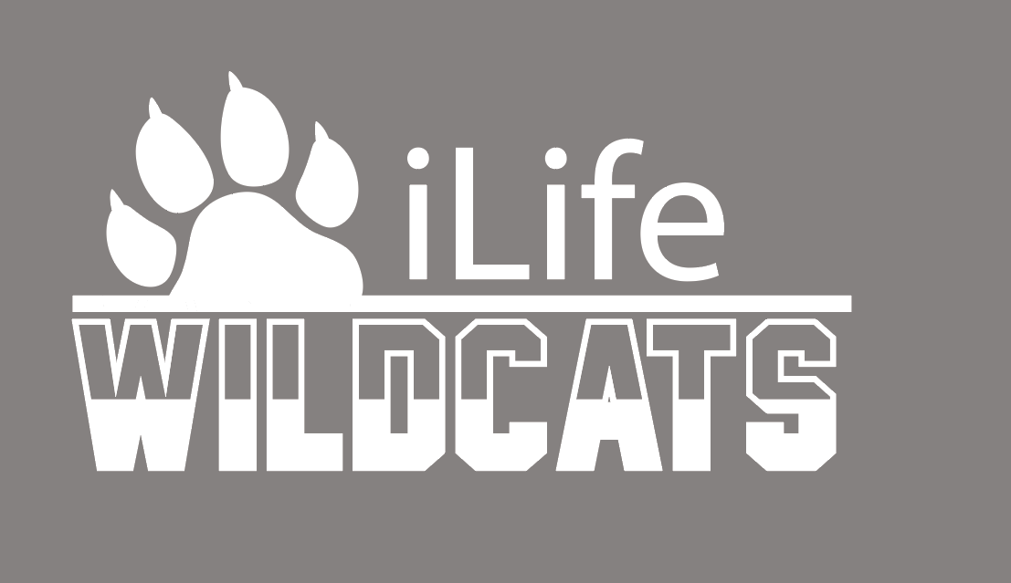 ILife "ILife Wildcats" Design Ladies Anorak Pullover (grey)