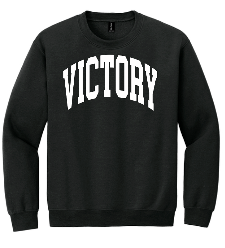 VFS "Arch Victory" Design Crewneck Sweatshirt (youth)(black)