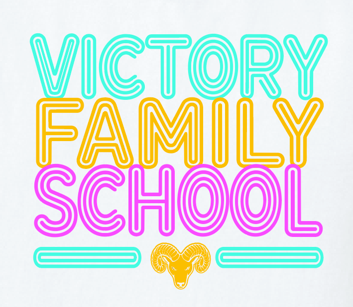 VFS "Neon Fun" Design Crewneck Sweatshirt (youth)(white)