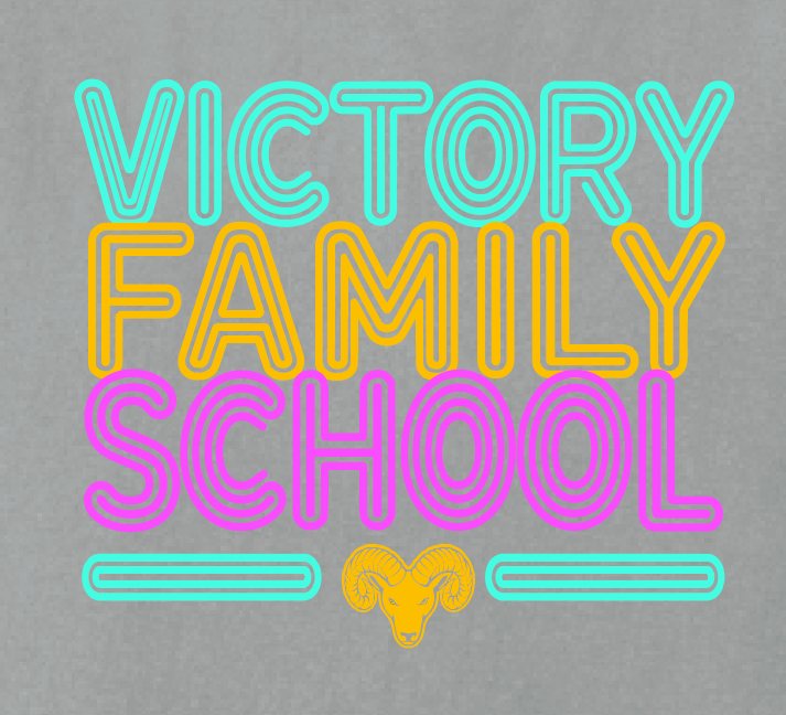 VFS "Neon Fun" Design Comfort Colors S/S T-shirt (granite)