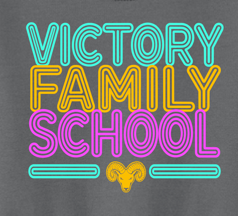 VFS "Neon Fun" Design Crewneck Sweatshirt (youth)(charcoal)