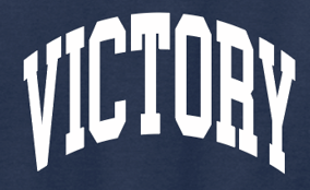 VFS "Arch Victory" Design Crewneck Sweatshirt (youth)(navy)