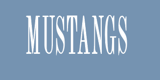 Monroe "Mustangs" Design Comfort Colors S/S T-shirt