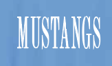 Monroe "Mustangs" Design Gildan L/S T-Shirt (youth)