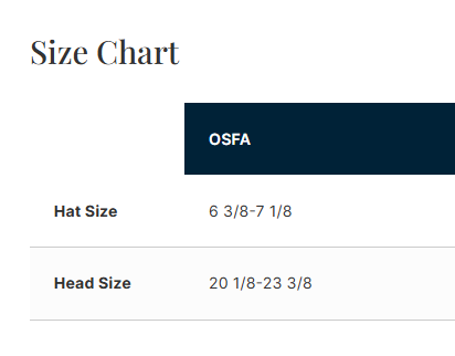 Reagan "Roadrunner" Design Performance Cap