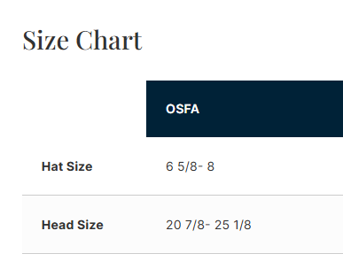 Reagan "Roadrunner" Design Performance Cap