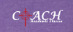 COACH Staff S/S V-neck T-shirt (purple)