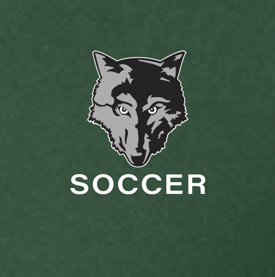 NN Men's Soccer "Digital" Design Women's Stretch 1/4-Zip Pullover