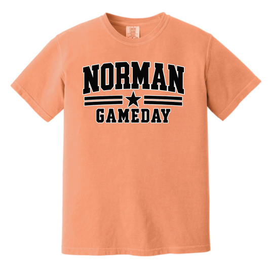 NHS Cheer "GameDay" Design Comfort Colors S/S T-shirt